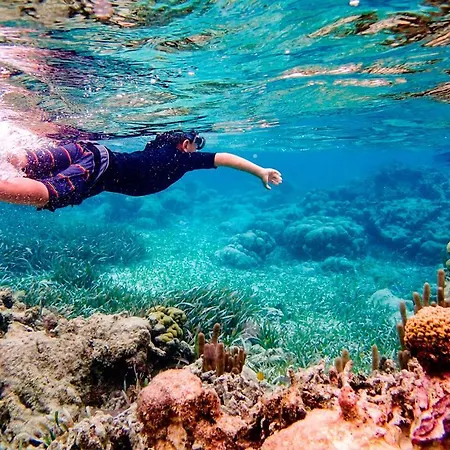 Apartament Punta Cormoran La Manga del Mar Menor