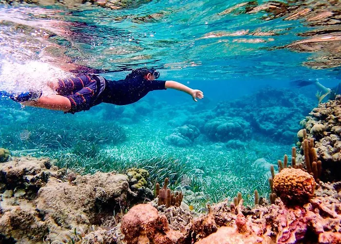 Apartment Punta Cormoran Los Alcazares